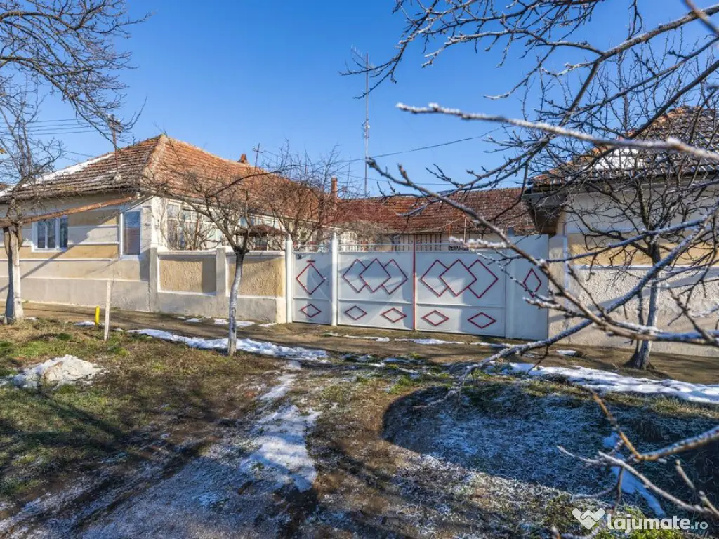 Gospodarie autentică bănățeană, cu teren generos și... 