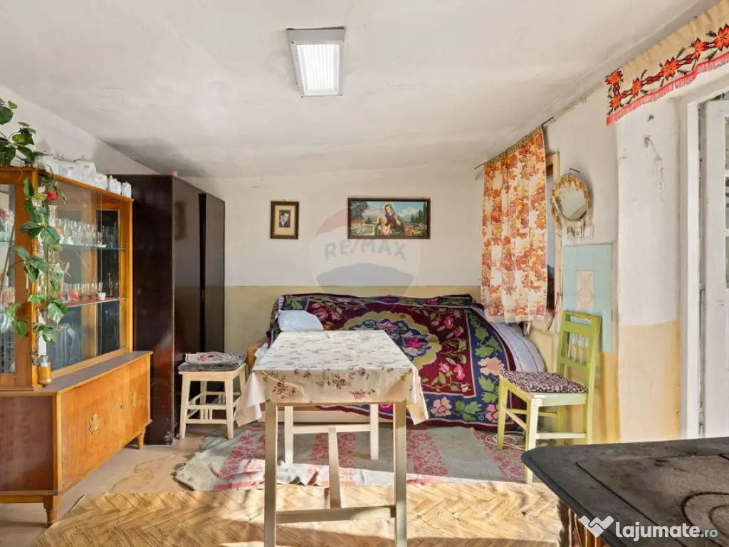 Gospodarie autentică bănățeană, cu teren generos și... 