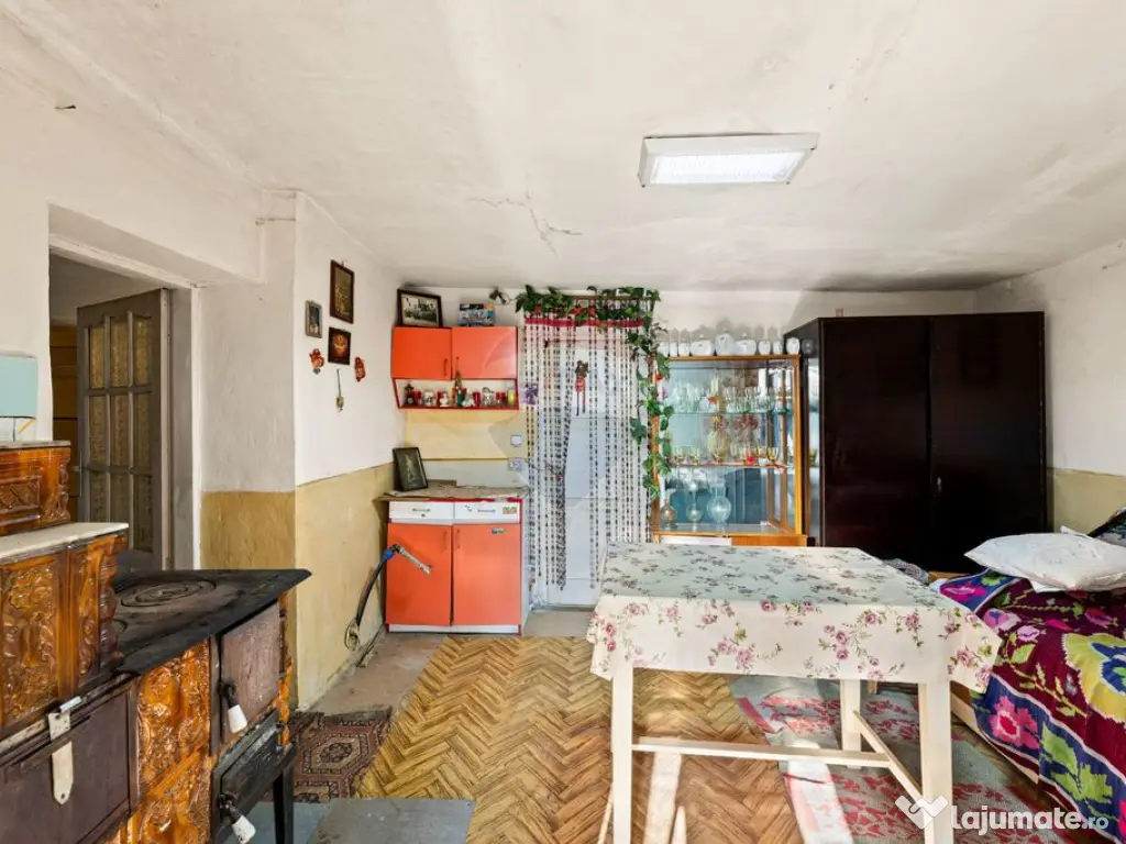 Gospodarie autentică bănățeană, cu teren generos și... 