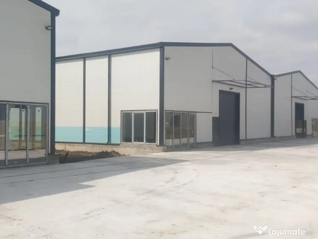 2 hale noi 2025 Afumati- Moara Domneasca 