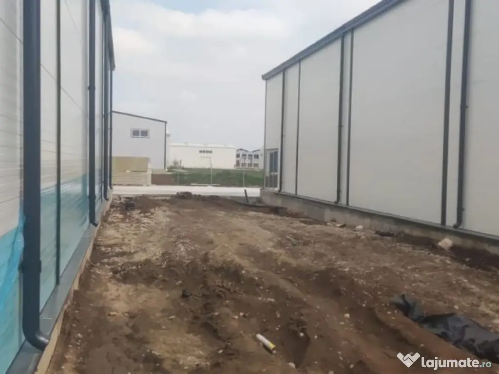 2 hale noi 2025 Afumati- Moara Domneasca 