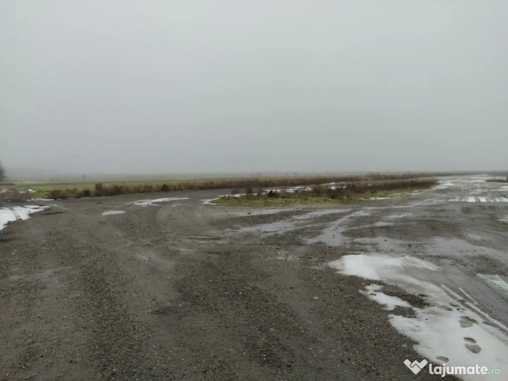 Teren 1000 mp, Cârcea, front 11,57m