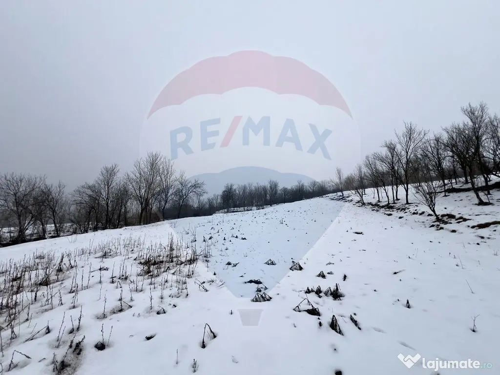 Casa cu 2 camere si teren 4887mp de vanzare in Dabaca 