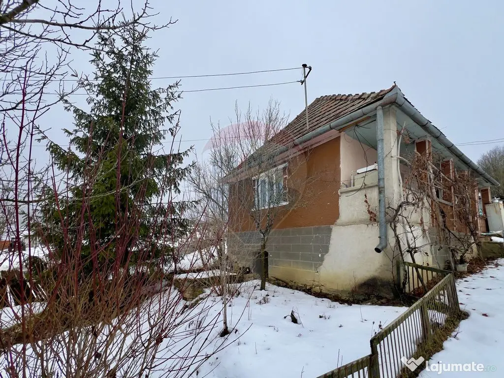 Casa cu 2 camere si teren 4887mp de vanzare in Dabaca 