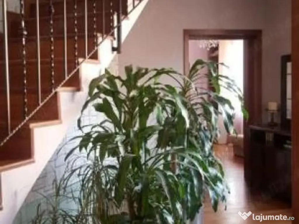 Ideal firma:Matei Voievod-Parcul Ronda 