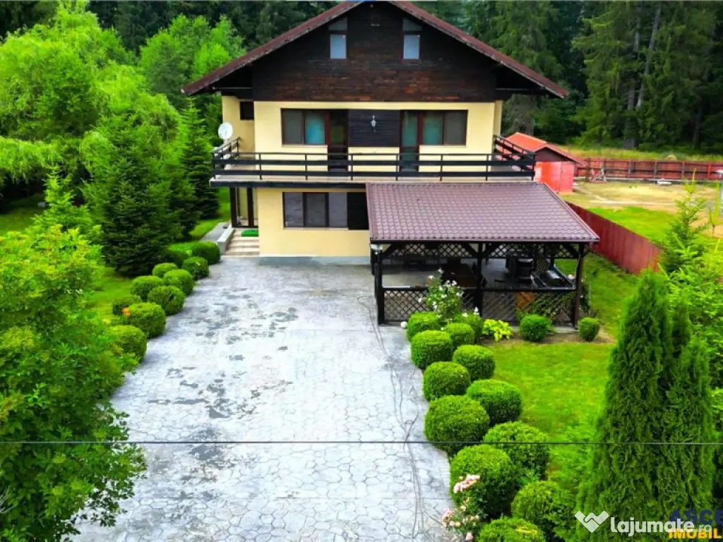 FILM!Resedinta cu farmec montan, domeniu de 1.700 mp,cadru s 