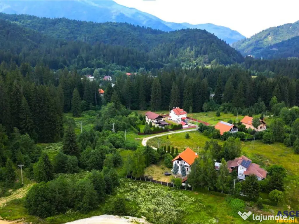 FILM!Resedinta cu farmec montan, domeniu de 1.700 mp,cadru s 