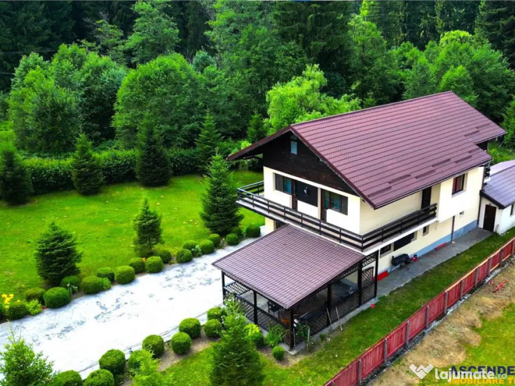 FILM!Resedinta cu farmec montan, domeniu de 1.700 mp,cadru s 