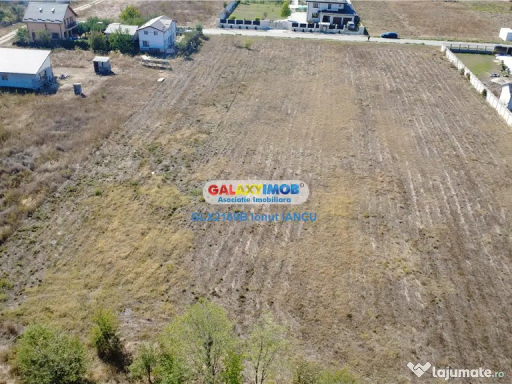 Teren 2900 m.p. Cornetu - A0 Bragadiru 