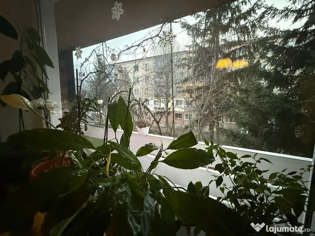 Apartament 2 camere –etaj 1-zona Piata Centrala 