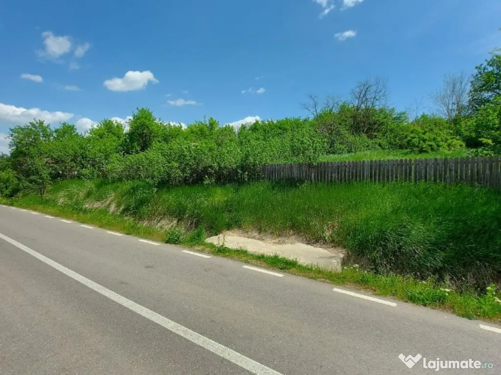 Teren intravilan 1490 MP Bratuleni Miroslava