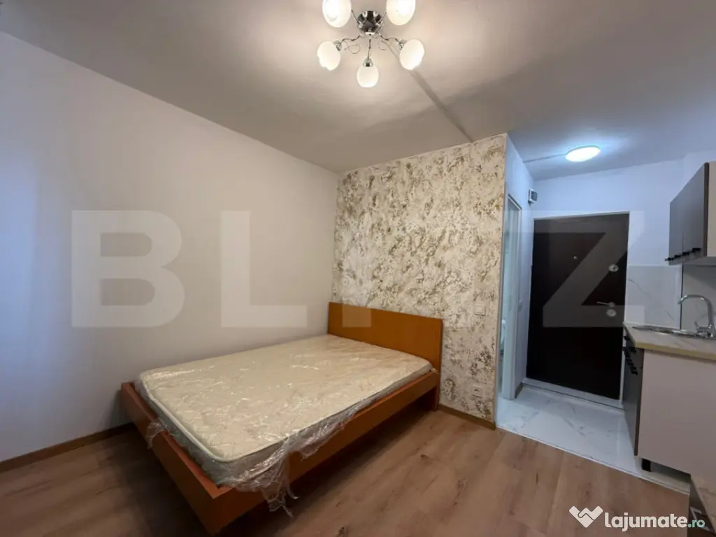 Camera de camin, 17 mp, zona Bularga