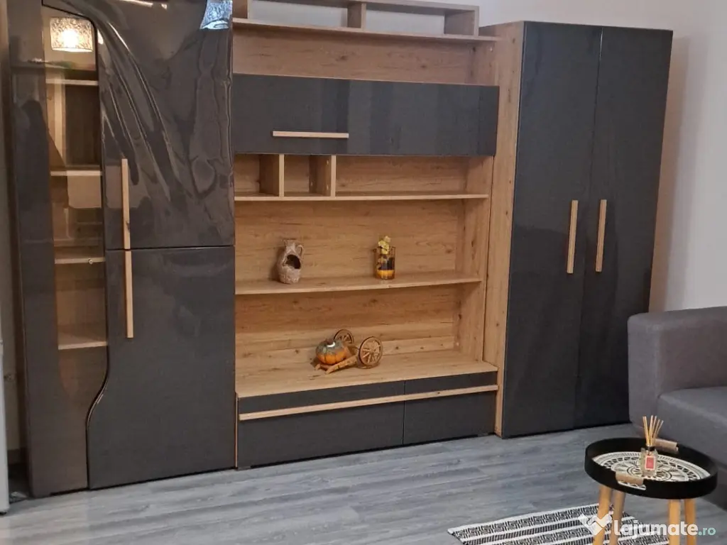 Apartament 2 camere Studio de inchiriat - ultracentral Ludus 