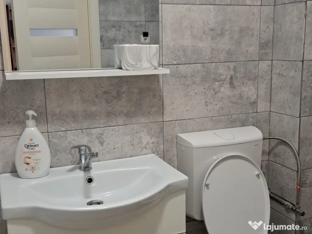 Apartament 2 camere Studio de inchiriat - ultracentral Ludus 