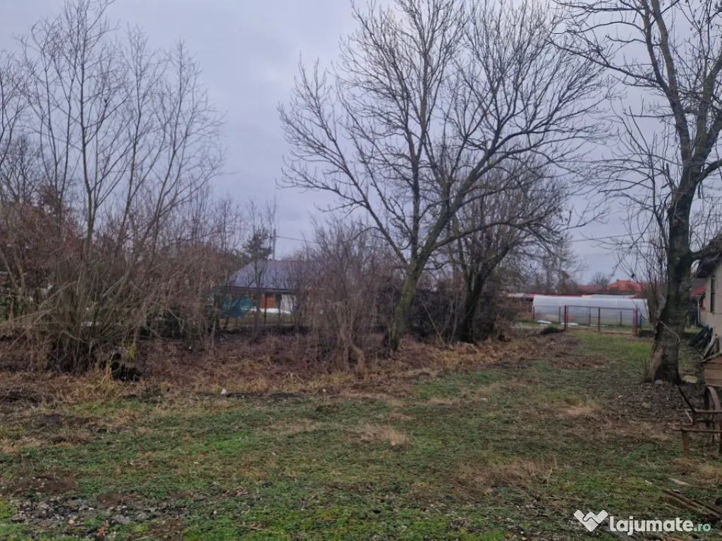 Casă veche cu teren generos – sat Mogoșești, com. Satu