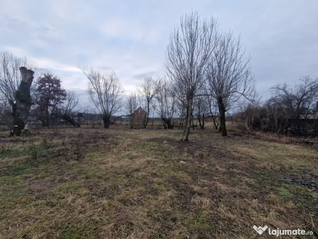 Casă veche cu teren generos – sat Mogoșești, com. Satu