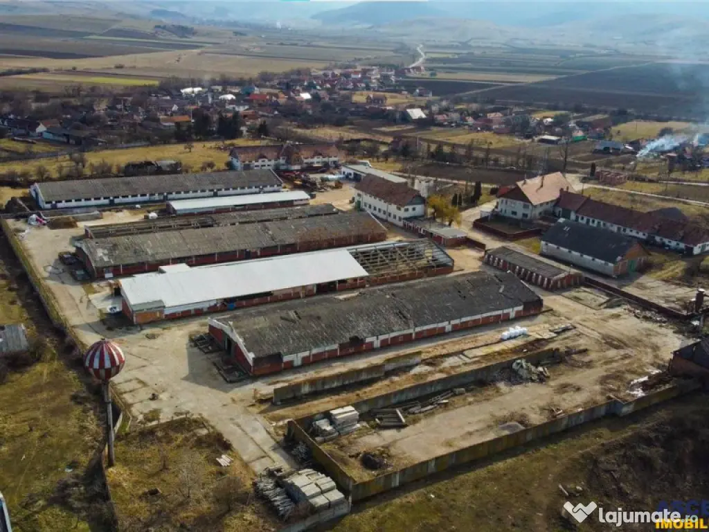 FILM! 25.400mp teren Complex agrozootehnic cu traditie, acc 