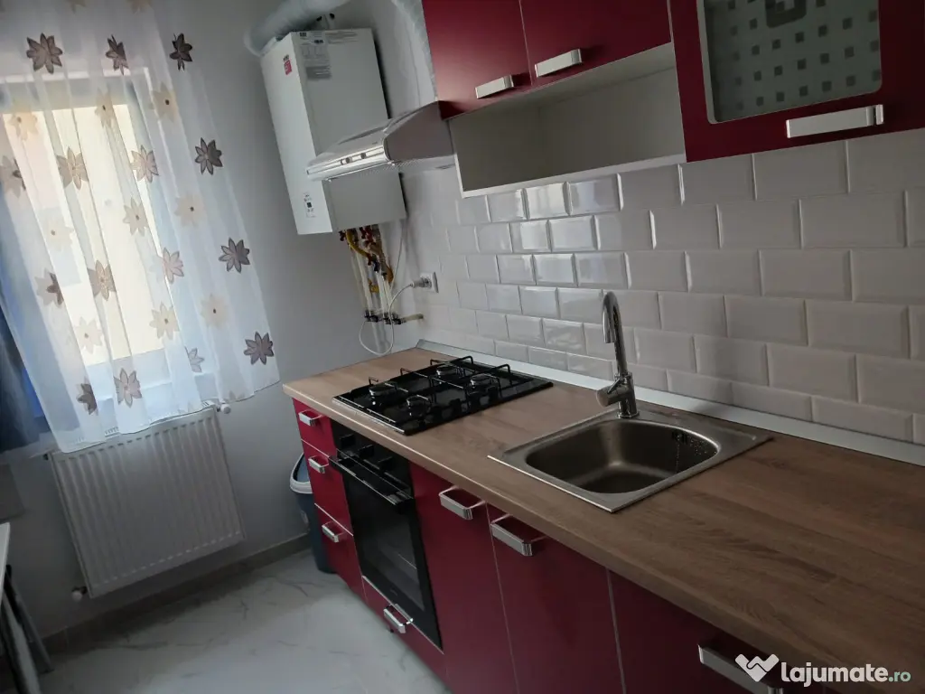 ap 1c Lunca Cetatuii