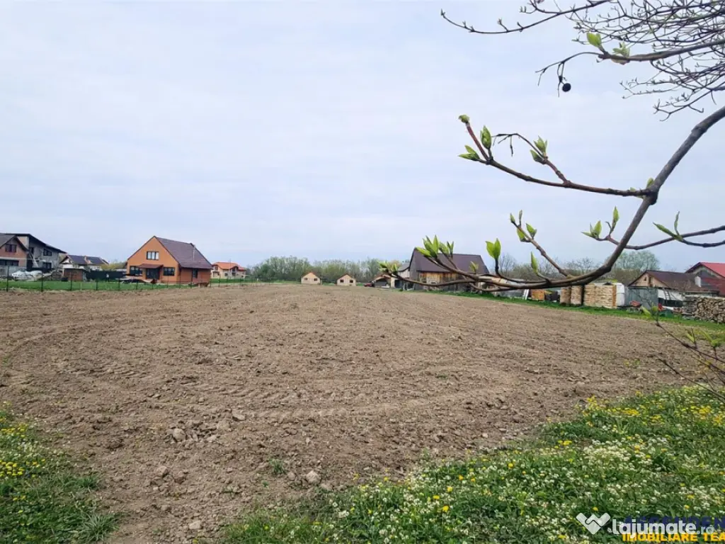 Teren 1.700 mp intravilan, natura, vecinatati bune, potentia 