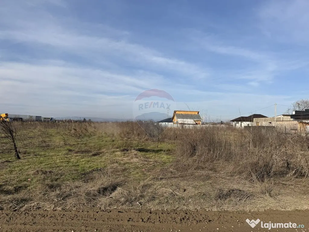 Teren intravilan 7478 mp Bucov, parcelabil, ideal investi...