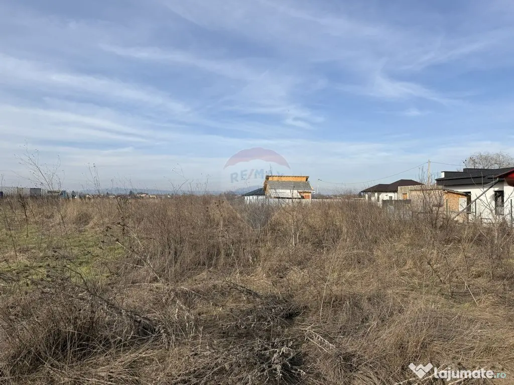 Teren intravilan 7478 mp Bucov, parcelabil, ideal investi...