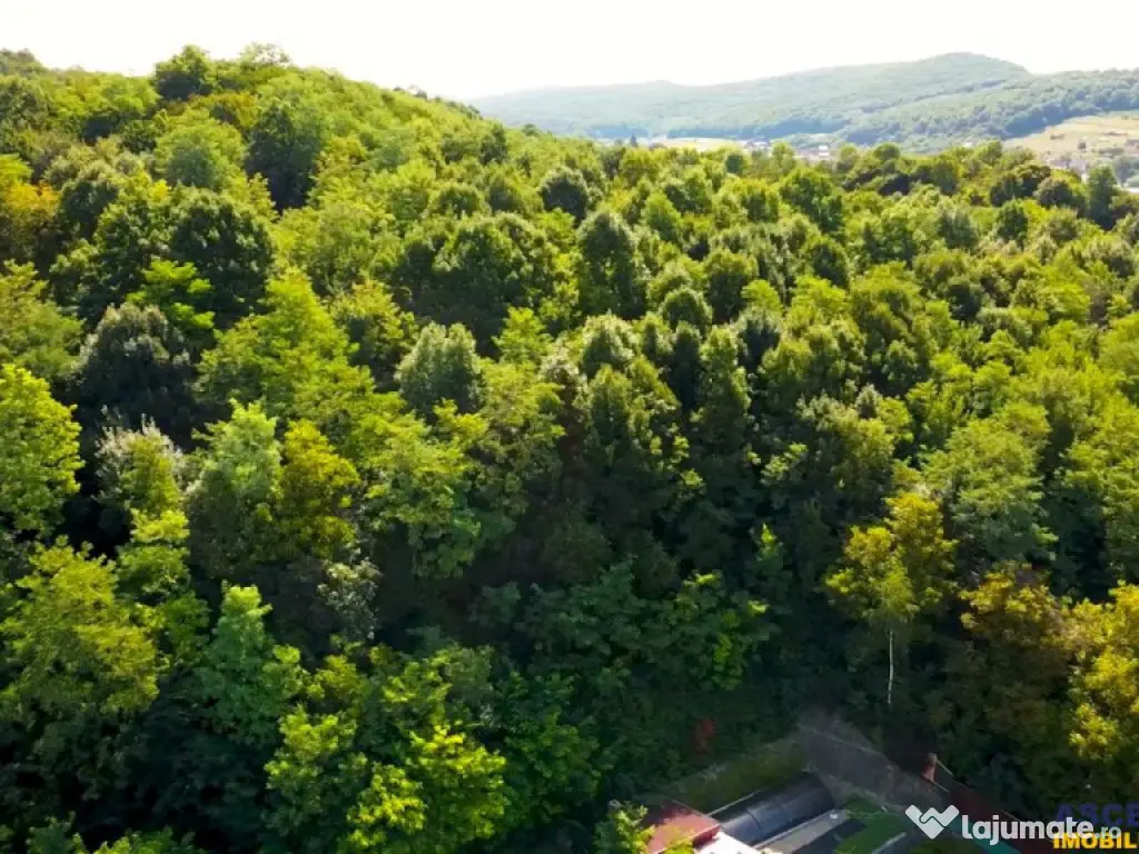 FILM!Vila cu arhitectura selecta, intr- o eleganta oaza de l