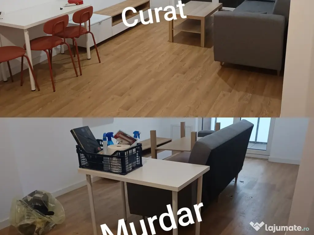 Servicii curățenie Arad și Timișoara – Apartamente, case, birouri 