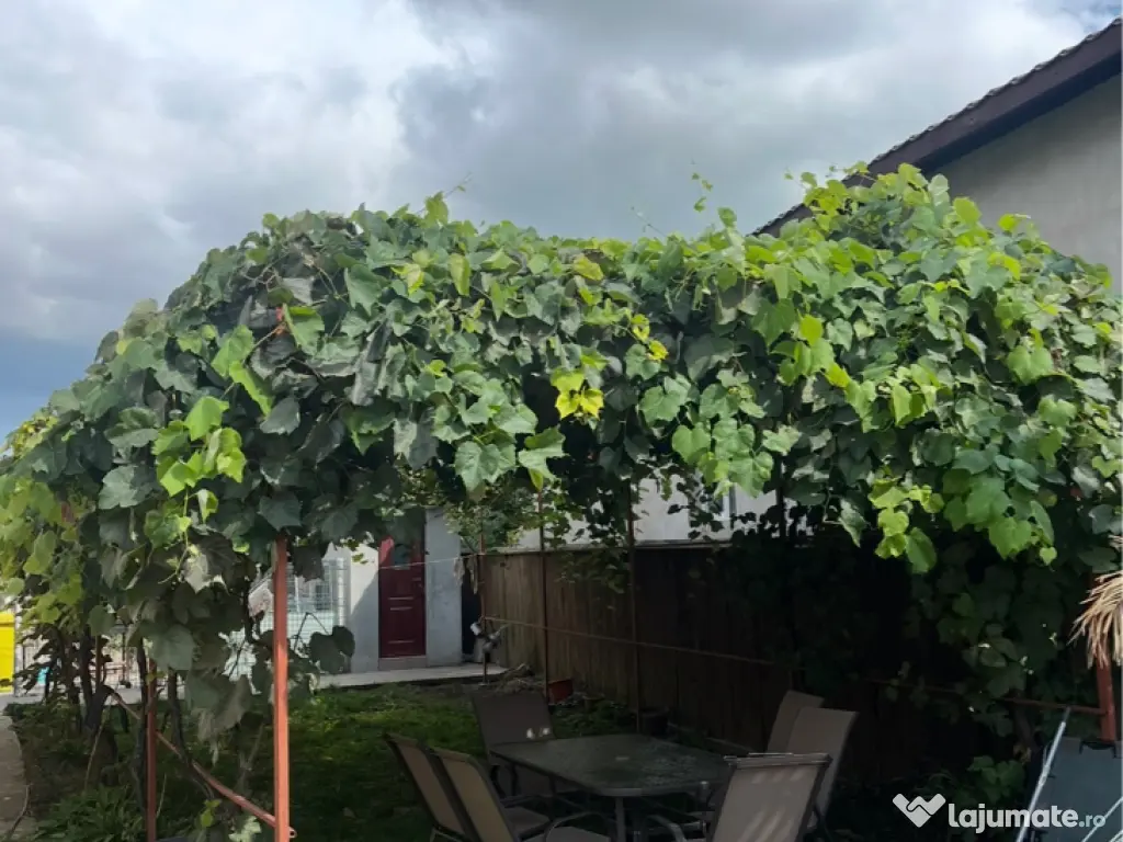 Proprietar vand casa in Localitatea LUMINA CT 