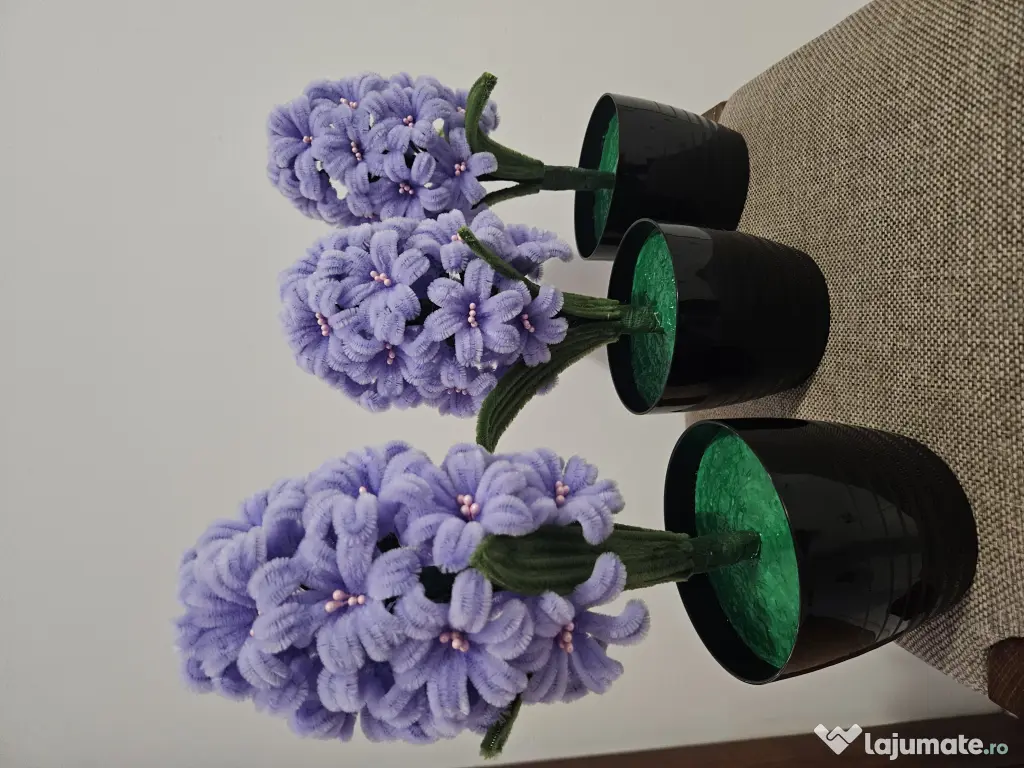 Zambile Sărmă Plușată 