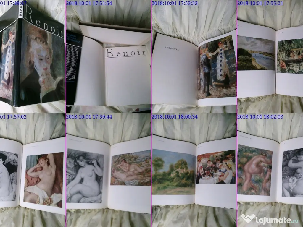 Renoir album de arta rar 