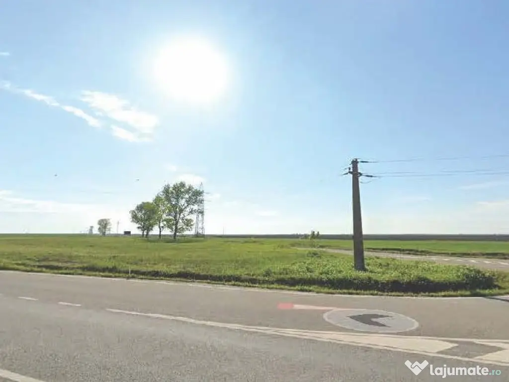 Teren cu posibilitati de investitii, pe drum european E79, 14300mp 