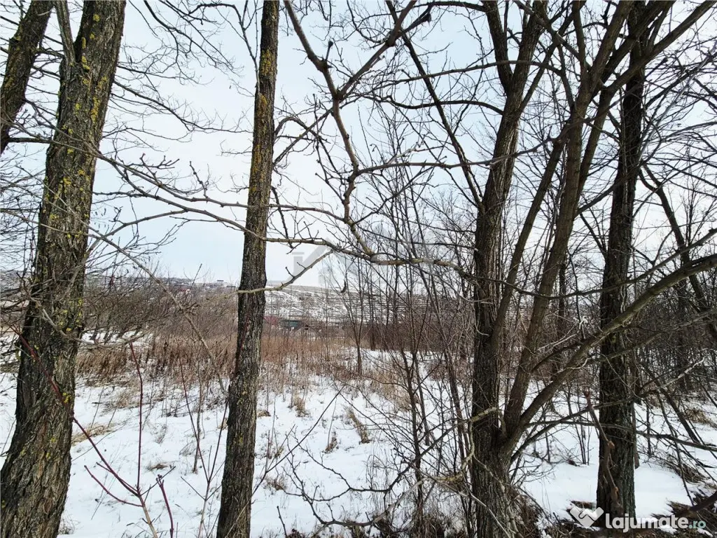 Teren intravilan de la 11 km de Palatul Culturii Iasi