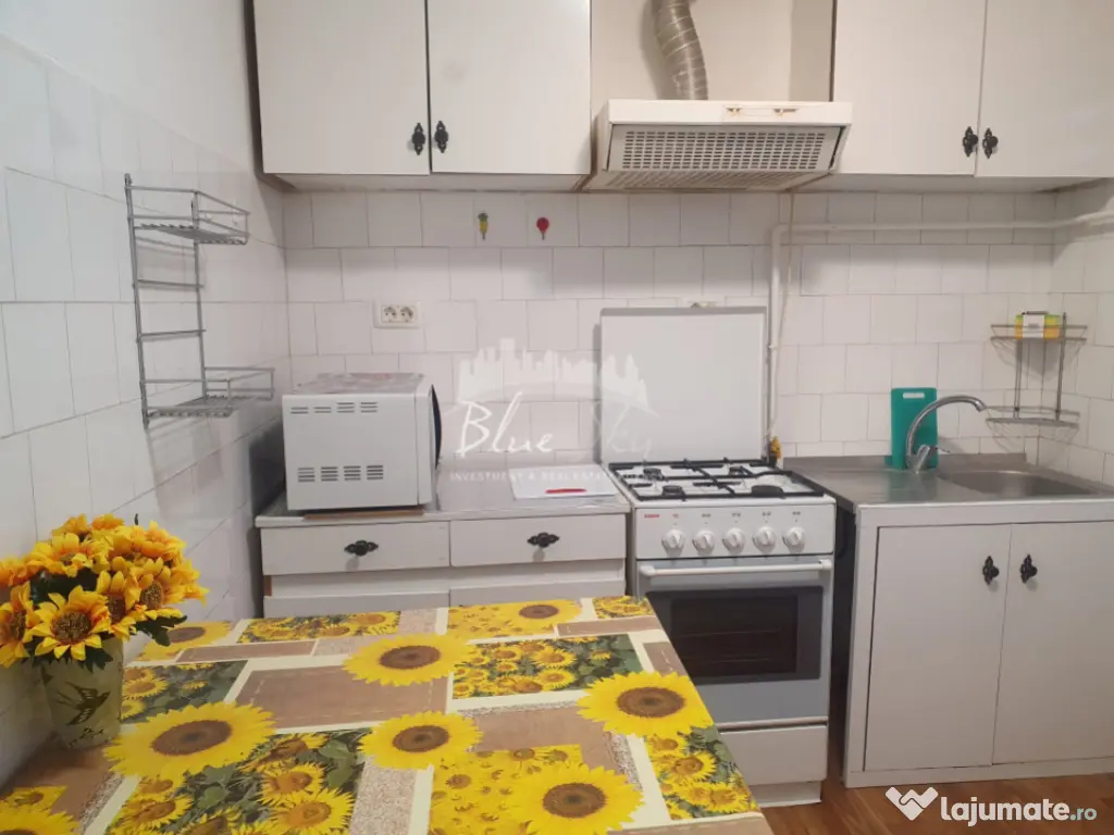 Piata ILCaragiale-Apartament 2 camere , centrala pe gaz , et 