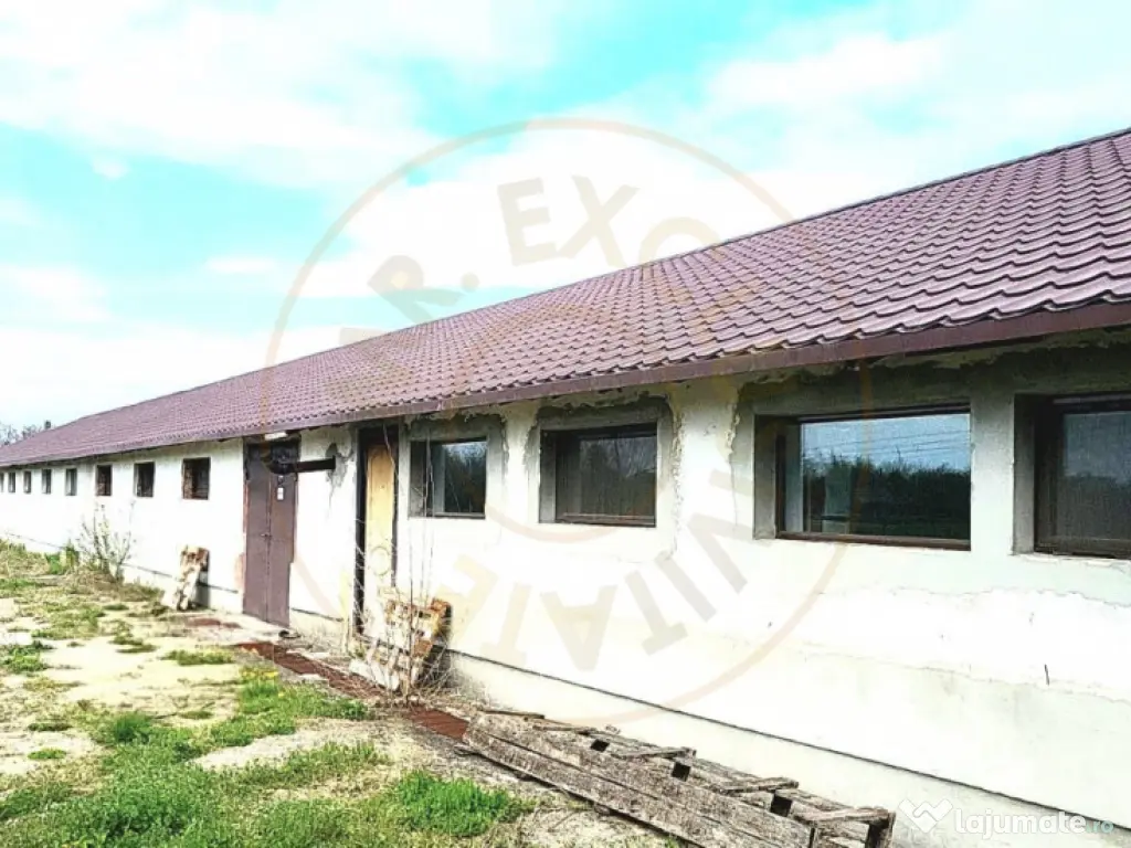 HALĂ INDUSTRIALĂ DE VÂNZARE – DB, CĂTUNU (TVA inclus) 