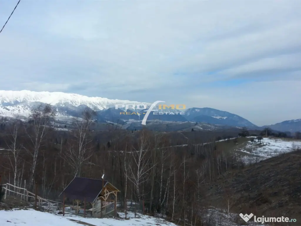 Moeciu, Drumul Carului, teren 3750 mp, 75000 euro 