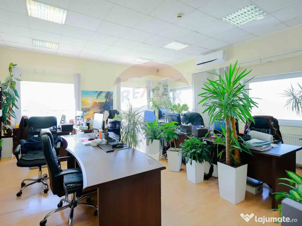 De vânzare- Proprietate industrială modernizată - Cale... 