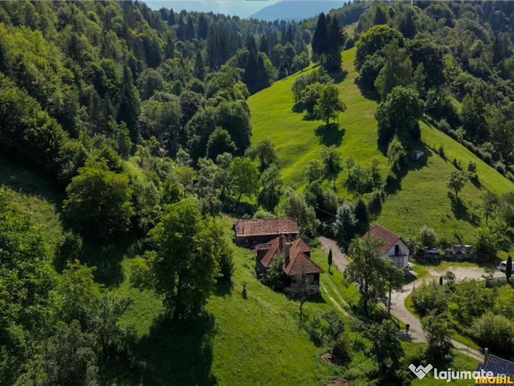 FILM! Casa traditionala pe domeniu de 4.300mp teren, Bran -