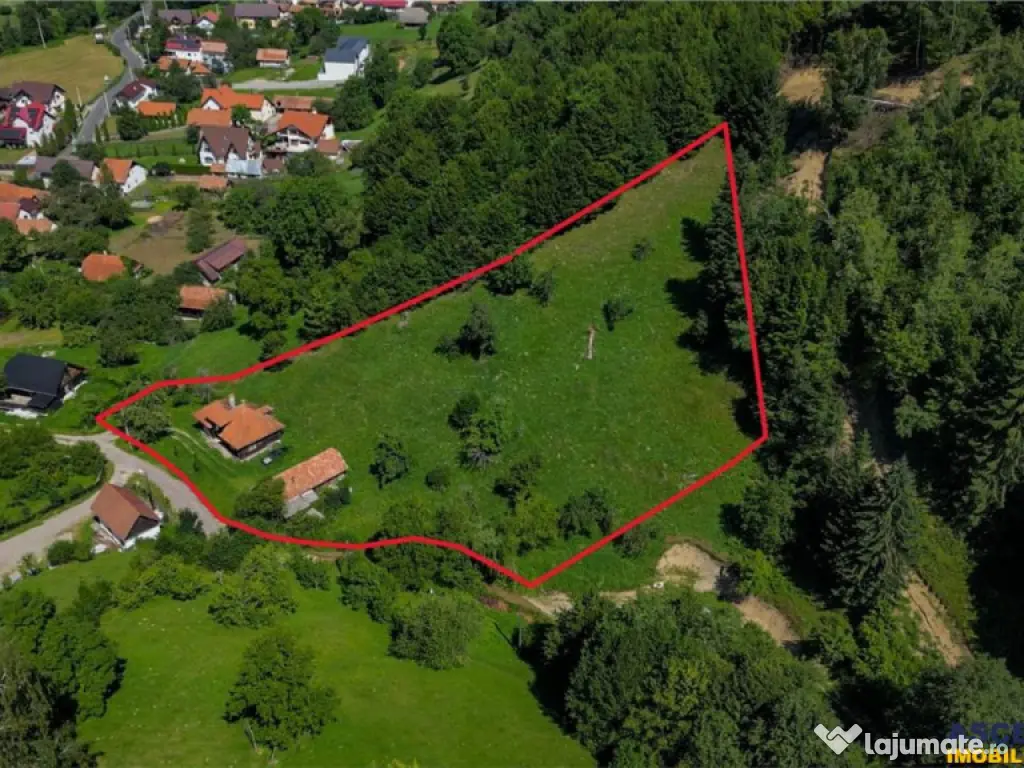 FILM! Casa traditionala pe domeniu de 4.300mp teren, Bran -