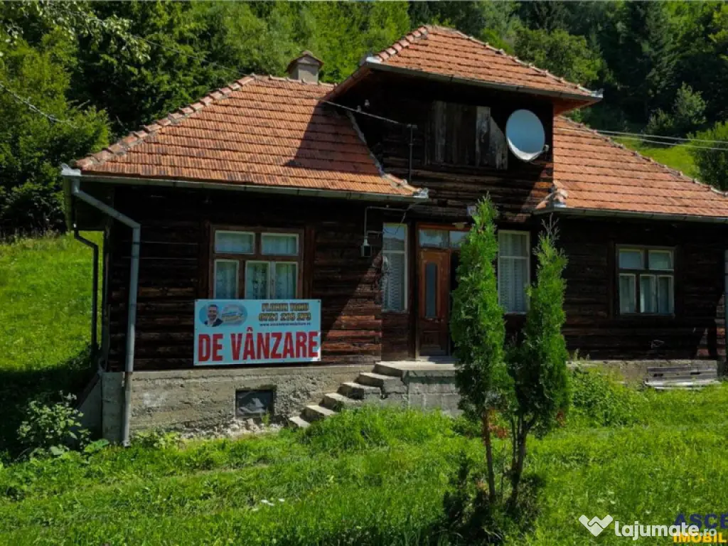 FILM! Casa traditionala pe domeniu de 4.300mp teren, Bran -
