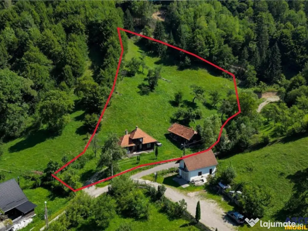 FILM! Casa traditionala pe domeniu de 4.300mp teren, Bran -