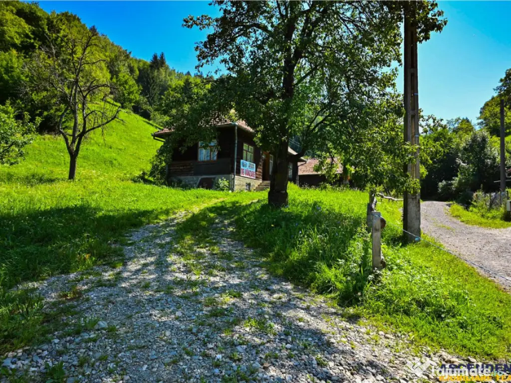 FILM! Casa traditionala pe domeniu de 4.300mp teren, Bran -