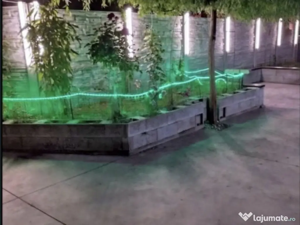 Zetarilor demisol bloc nou 