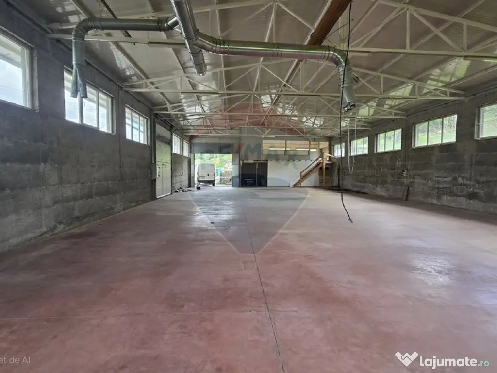 Hala de productie 540mp de închiriat în Borsa pe DN 18 ... 