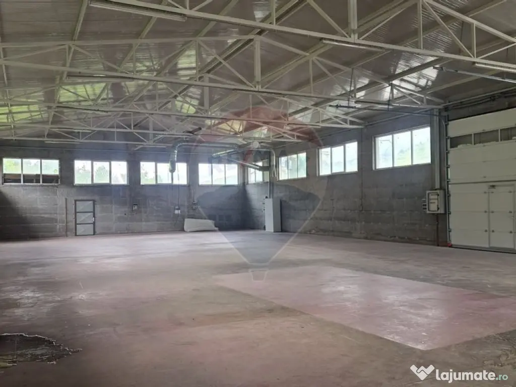 Hala de productie 540mp de închiriat în Borsa pe DN 18 ... 