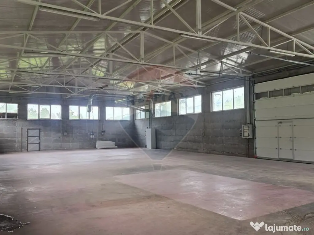 Hala de productie 540mp de închiriat în Borsa pe DN 18 ... 