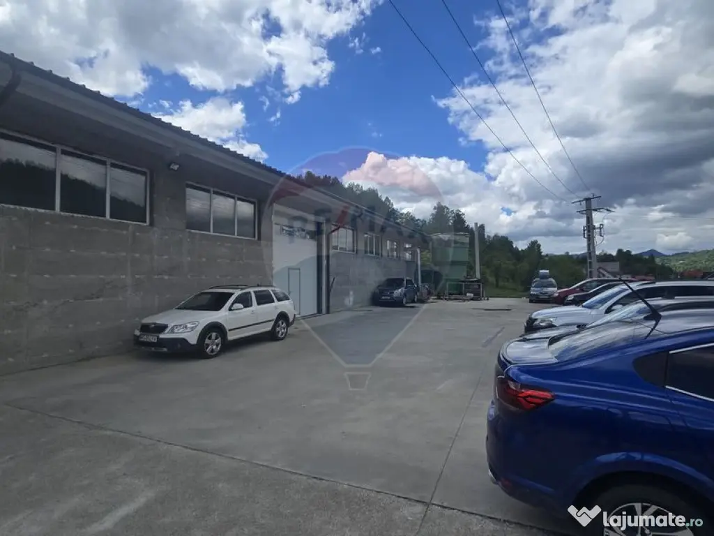 Hala de productie 540mp de închiriat în Borsa pe DN 18 ... 