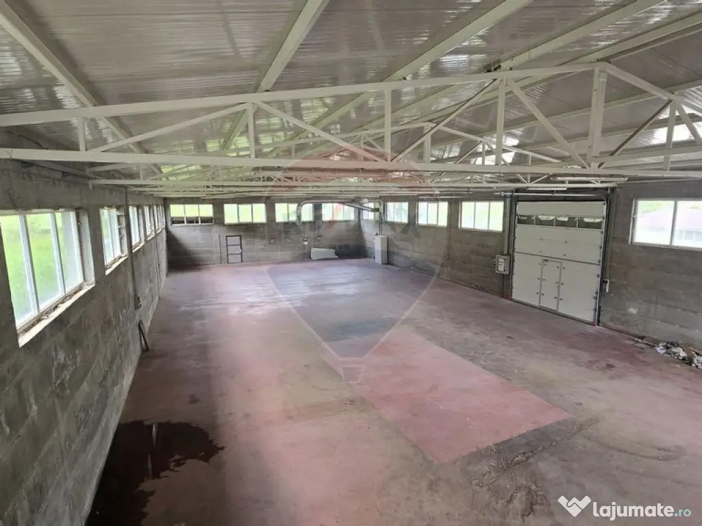 Hala de productie 540mp de închiriat în Borsa pe DN 18 ... 