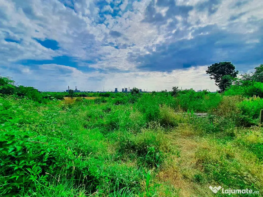 Teren intravilan Bradu Arges