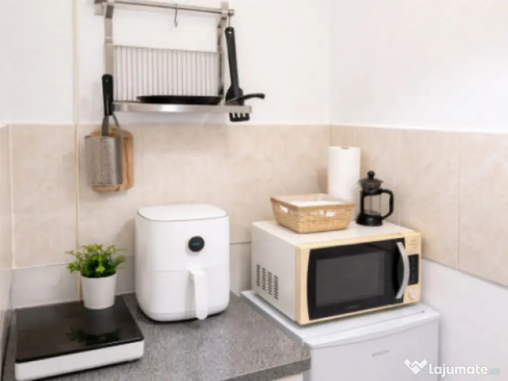 Garsonieră Take Ionescu 