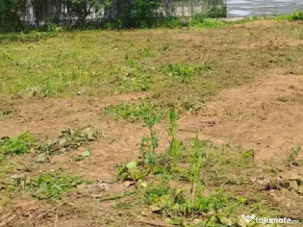 Teren intravilan 3.415 mp | Centru Tăuții-Măgherăuș 